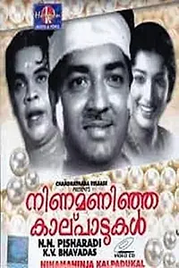 Главный постер фильма «Ninamaninja Kaalpaadukal (1963)»