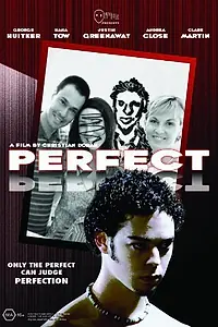 Постер к фильму «Perfect (2006)»