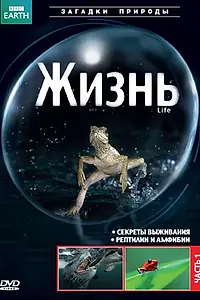 Постер к сериалу «BBC: Жизнь (2009)»