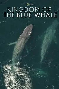 Постер к фильму «Kingdom of the Blue Whale (2009)»