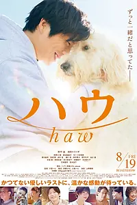 Постер к фильму «Haw (2022)»