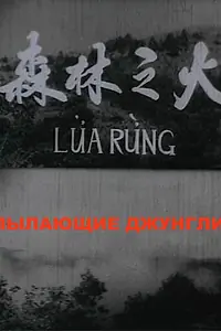 Постер к фильму «Пылающие джунгли (1965)»