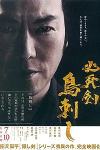 Главный постер фильма «Меч отчаяния (2010)»