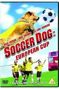 Главный постер фильма «Король футбола: Кубок Европы (2004)»