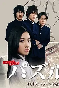 Постер к сериалу «Головоломка (2008)»