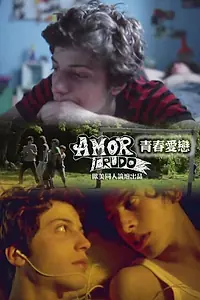 Главный постер фильма «Незрелая любовь (2008)»