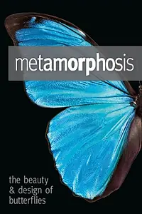 Главный постер фильма «Метаморфозы: Красота и дизайн бабочек (2011)»