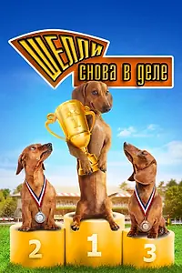 Главный постер фильма «Шелли снова в деле: Часть 1 (2013)»