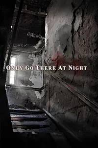 Постер к фильму «Only Go There at Night (2008)»