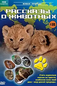 Главный постер сериала «Рассказы о животных (2008)»