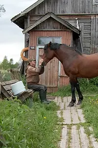 Главный постер фильма «Робинзоны из Мантсинсаари (2009)»
