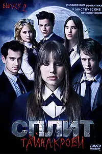 Постер к сериалу «Сплит: Тайна крови (2009)»