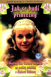 Постер к фильму «Как разбудить принцессу (1978)»