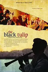 Постер к фильму «Черный тюльпан (2010)»