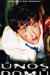 Постер к фильму «Похищение домой (2002)»
