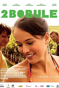 Постер к фильму «2 ягоды (2009)»