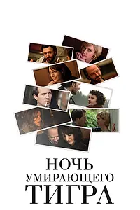 Главный постер фильма «Ночь умирающего тигра (2010)»