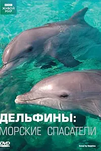 Постер к фильму «Дельфины: Морские спасатели (2008)»