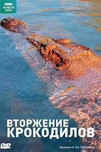 Постер к фильму «BBC: Вторжение крокодилов (2006)»