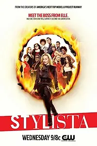 Постер к сериалу «Стилистка (2008)»