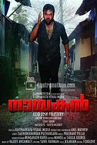 Постер к фильму «Nayakan (2010)»