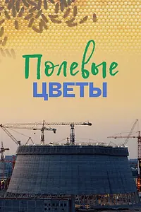 Главный постер фильма «Полевые цветы (2022)»