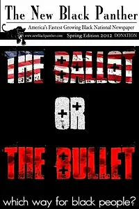 Главный постер фильма «The Ballot or the Bullet (2012)»
