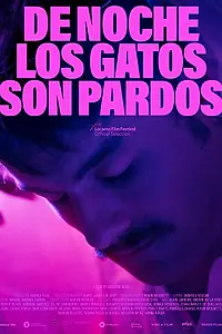 Главный постер фильма «De noche los gatos son pardos (2022)»