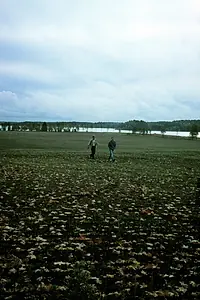 Главный постер фильма «Маленькие игры (2009)»