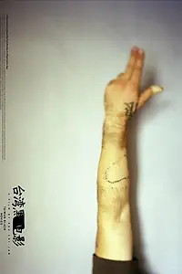 Постер к фильму «Чёрное кино Тайваня (2005)»