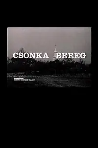 Главный постер фильма «Берег Чонка (1989)»