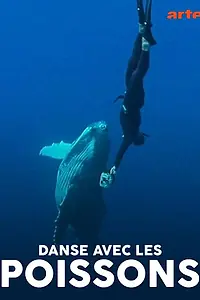 Постер к фильму «Danse avec les poissons (2011)»