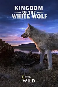 Главный постер сериала «Королевство белого волка (2019)»
