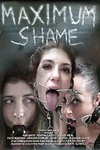 Постер к фильму «Maximum Shame (2010)»