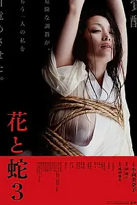 Постер к фильму «Цветок и змея 3 (2010)»