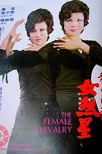 Постер к фильму «Женское рыцарство (1974)»