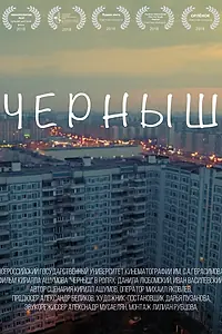 Постер к фильму «Черныш (2017)»