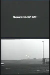 Главный постер фильма «Полет над синими полями (2001)»