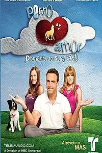 Постер к сериалу «Проклятая любовь (2010)»