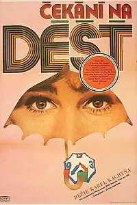 Постер к фильму «В ожидании дождя (1978)»