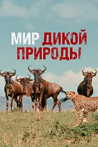 Постер к сериалу «Мир дикой природы (2014)»
