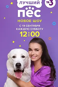 Постер к сериалу «Лучший пес (2020)»