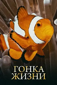 Постер к сериалу «Гонка жизни (2015)»
