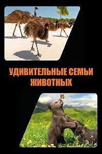 Постер к сериалу «Удивительные семьи животных (2019 - 2020)»