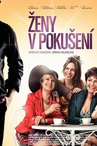 Постер к фильму «Женщины в соблазне (2010)»