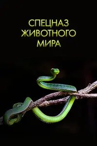 Главный постер сериала «Спецназ животного мира (2018)»