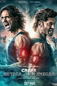 Постер к фильму «Чокнутый (2024)»