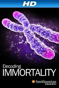 Постер к фильму «Immortal (2010)»