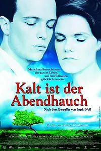 Главный постер фильма «Холодное дыхание вечера (2000)»