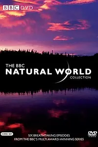 Постер к сериалу «BBC: Живой мир (1983)»